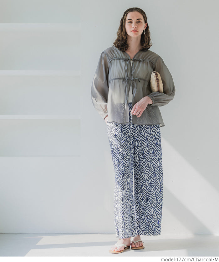 Dopamine Candy Color Pleated Sheer Long Sleeve Shirt