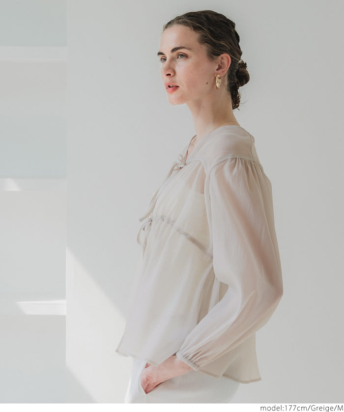 Dopamine Candy Color Pleated Sheer Long Sleeve Shirt