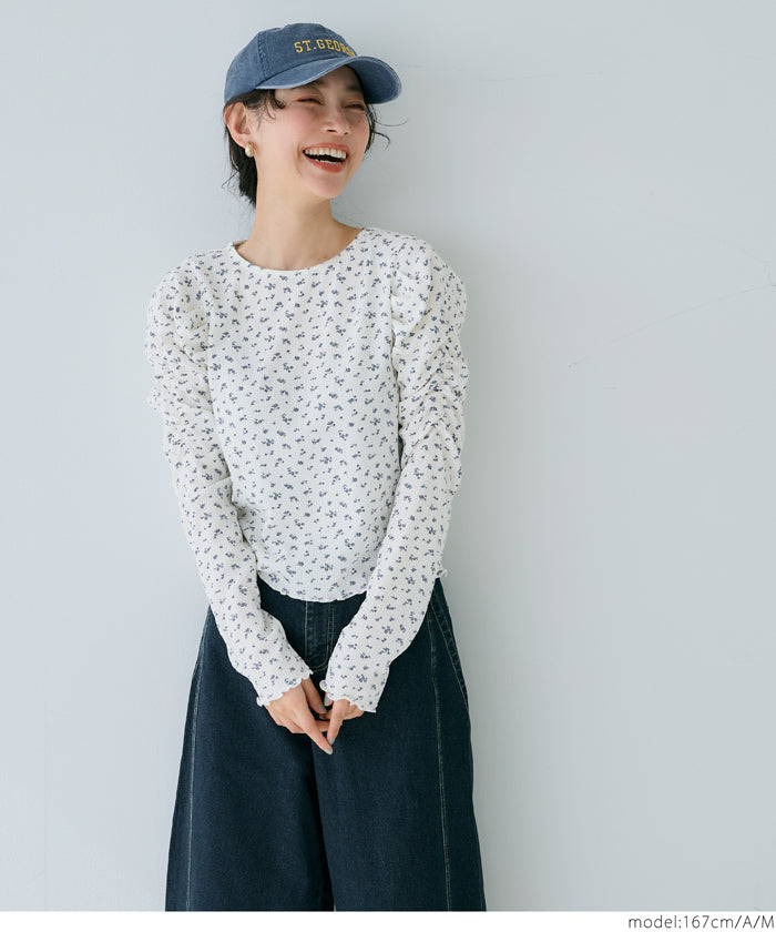 Thin pleated long sleeve round neck willow top