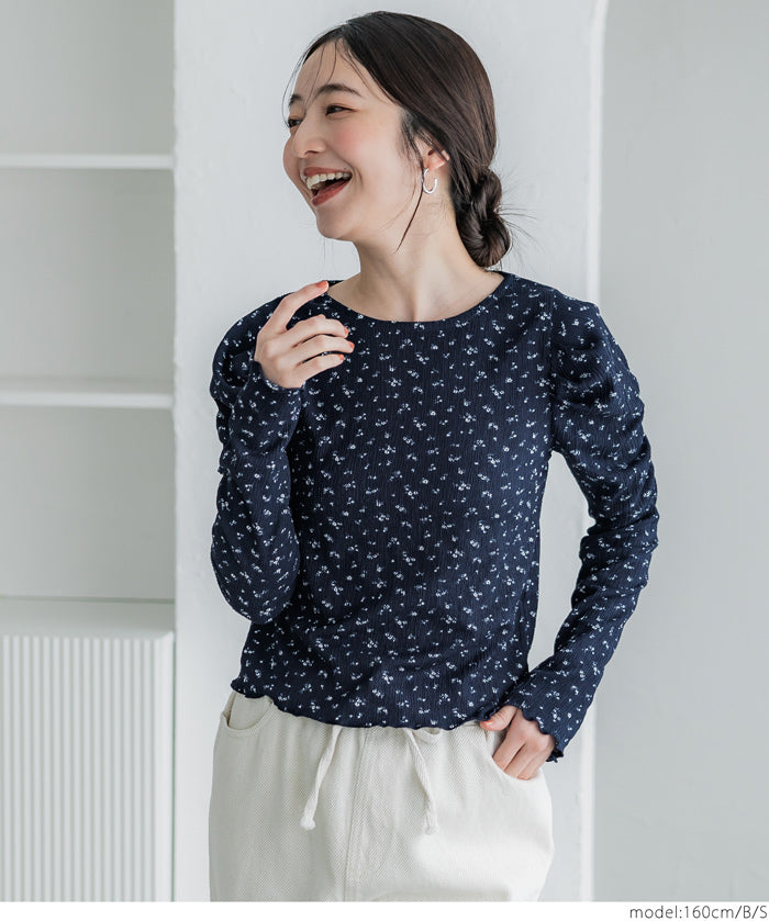 Thin pleated long sleeve round neck willow top