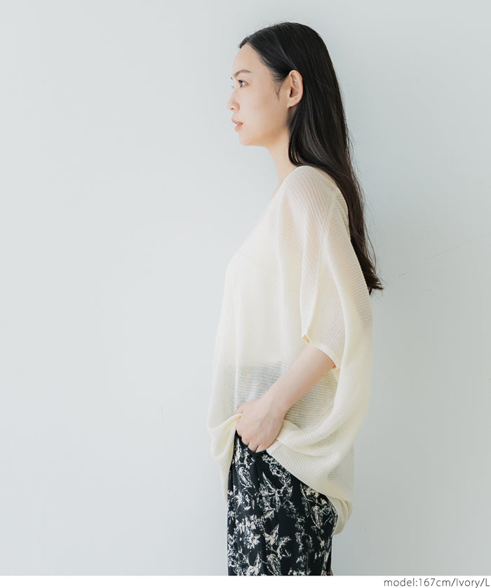 Loose Fit V-Neck Flying Squirrel Sleeve Sheer Knit Top