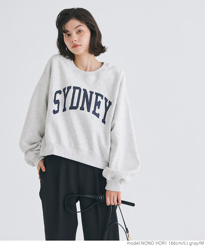 Heavyweight brushed lining vintage logo sweatshirt