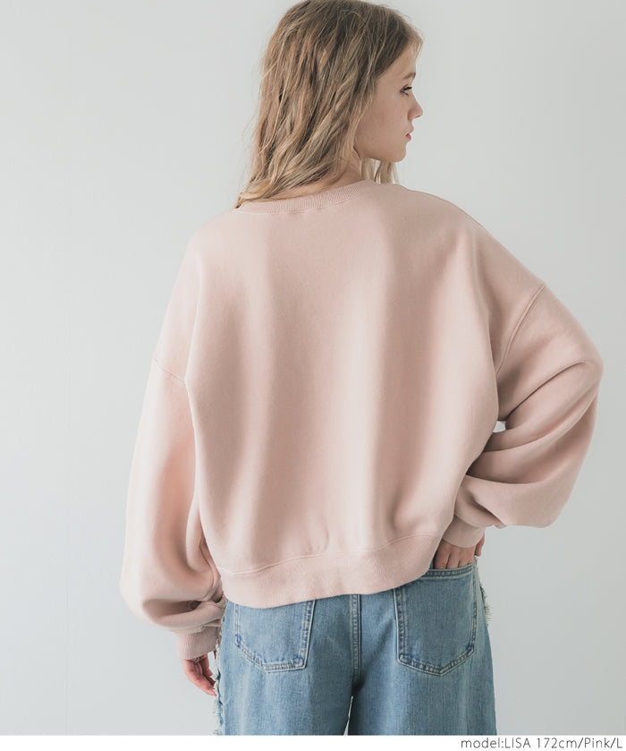 Heavyweight brushed lining vintage logo sweatshirt