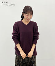 [Cashmere Style] Elegant V-neck Sweater