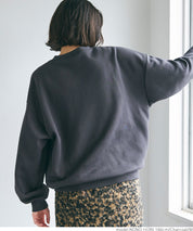 Assorted college brushed sweatshirt
