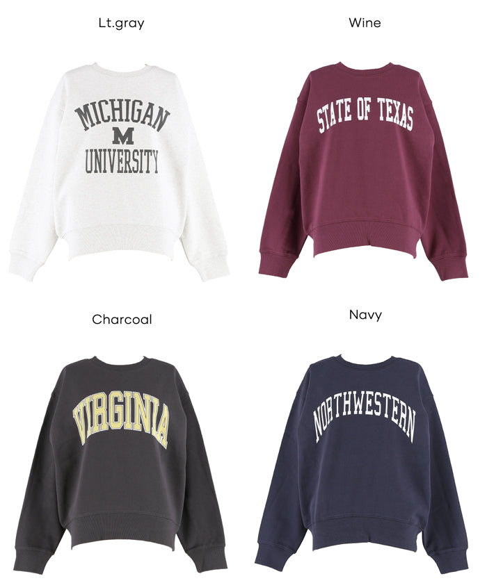 [Heavy Weight] College Style LOGO Long Sleeve Sweatshirt