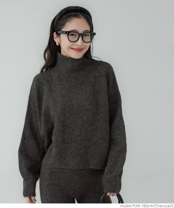 Balloon sleeves bottle neck knit