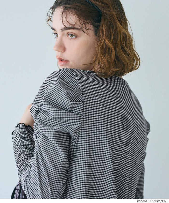 Thin pleated long sleeve round neck willow top