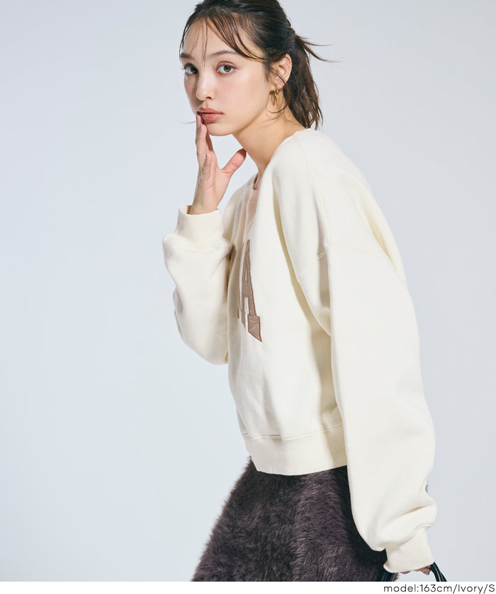 【重磅棉】磨毛刺繡LOGO衛衣